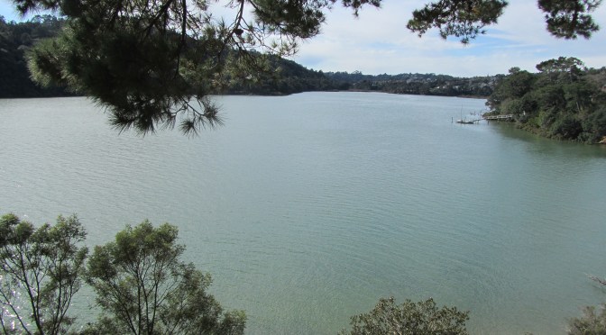 The Place I Call Home