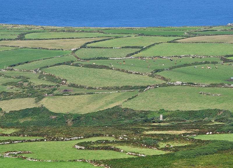 800px-fields_near_zennor