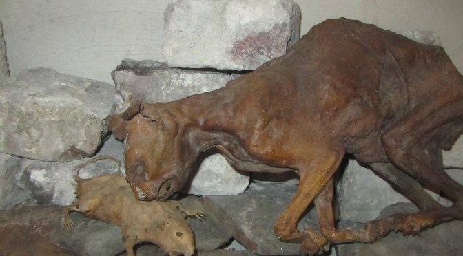 A Museum With A Difference