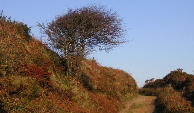 The Tinners Way – An Old Track Through Time.