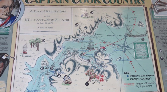 The Mercury Bay Museum