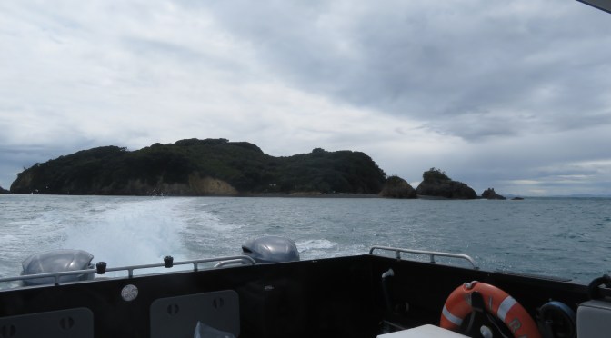 Excavating on otata Island