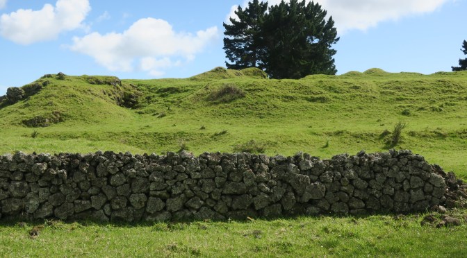 Discovering Aotearoa’s Rich Archaeological Heritage