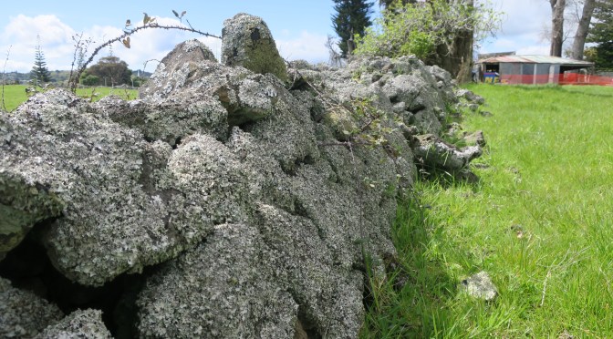 Hampton Park – Te Puke o Tara