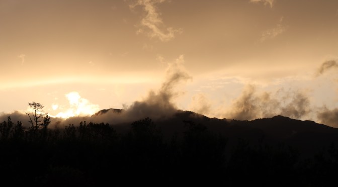 An Adventure to the East Cape